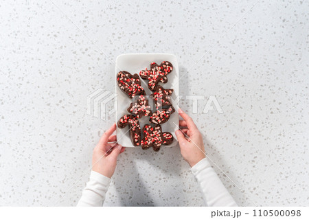 Flat lay. Freshly made Christmas cookie-cutter peppermint fudge on the serving plate. 110500098