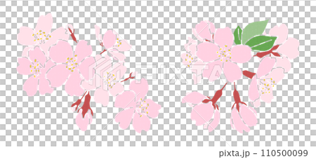 Cherry blossom flower cut illustration set decorative material Cherry blossom flower cut illustration set decorative material 110500099