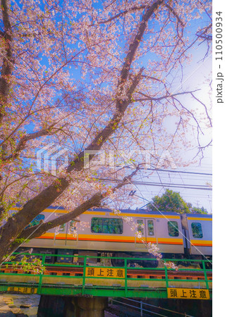 満開の桜と南武線 満開の桜と南武線 110500934