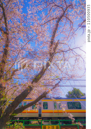 満開の桜と南武線 110500935