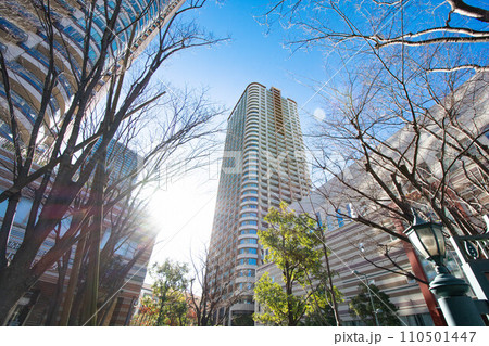 高層マンションを見上げる川崎市武蔵小杉駅前の都市風景 110501447