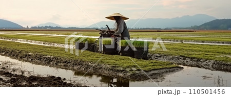 AI-generated content. Golden grains of prosperity. Golden grains of rice harvested by farmer, who working hard. Successful harvest in mountainous region. 110501456