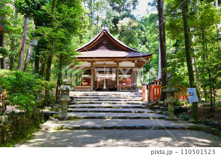 京都 大田神社(上賀茂神社 賀茂別雷神社の摂社) 京都 大田神社(上賀茂神社 賀茂別雷神社の摂社) 110501523