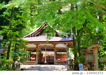 京都 大田神社（上賀茂神社　賀茂別雷神社の摂社） 110501572