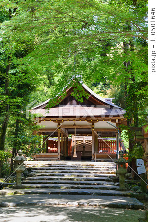 京都 大田神社(上賀茂神社 賀茂別雷神社の摂社) 京都 大田神社(上賀茂神社 賀茂別雷神社の摂社) 110501646