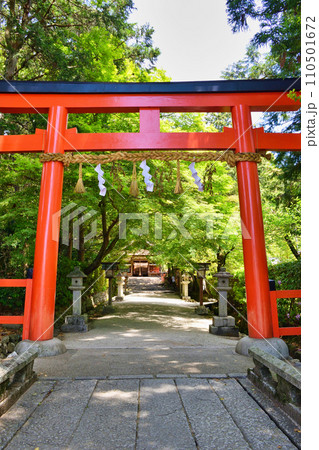 京都 大田神社(上賀茂神社 賀茂別雷神社の摂社) 京都 大田神社(上賀茂神社 賀茂別雷神社の摂社) 110501672