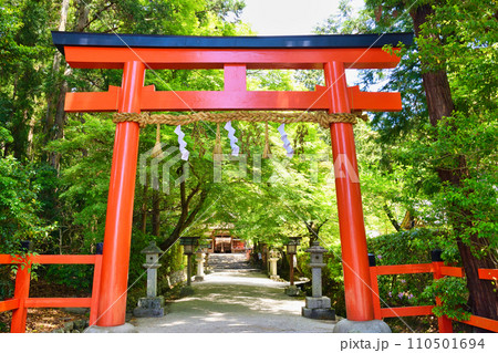 京都 大田神社（上賀茂神社　賀茂別雷神社の摂社） 110501694