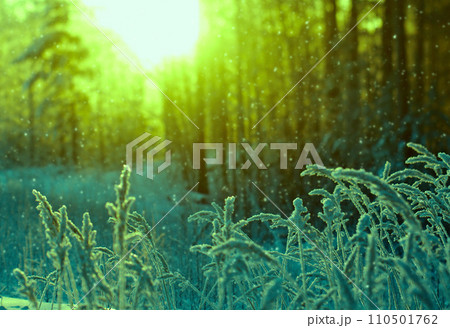 Winter scene 110501762