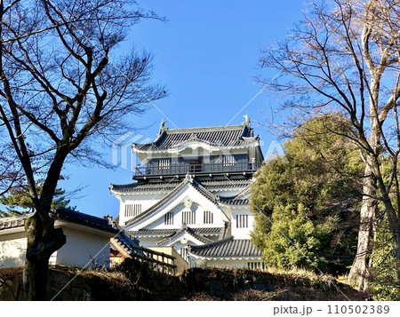 青空に映える冬の岡崎城天守閣〈岡崎城公園/愛知県岡崎市〉 110502389