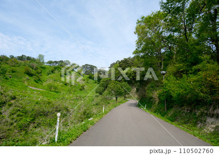 新潟県上越市_春日山城跡1_2023_4月 110502760