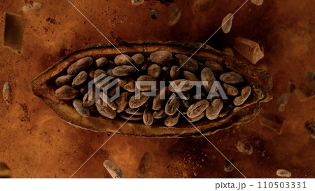 Cocoa fruit with cocoa beans exploding. Top view. 110503331