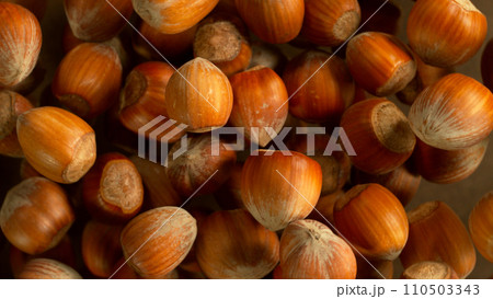 Freeze Motion Shot of Flying Hazelnuts, Close-up 110503343