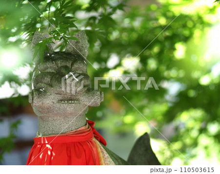 松本市にある瘡守稲荷神社の狛犬 110503615