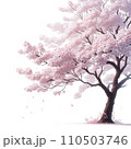 満開の桜と花びら 110503746