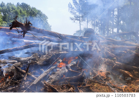 In preparation for construction of house, uprooted trees were burned during land preparation 110503783