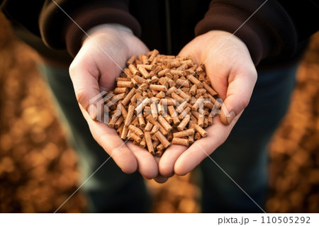 Male hands holding wood pellets. Ecologic fuel made from biomass. Renewable energy source. 110505292