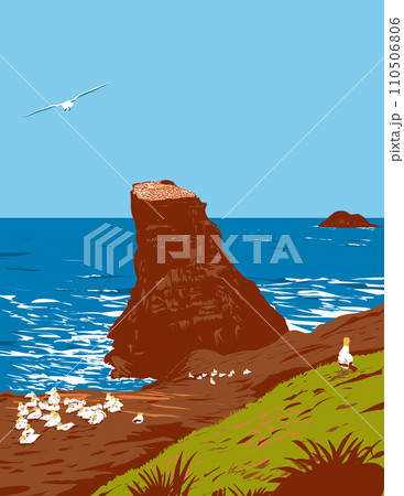 Muriwai Gannet Colony in Auckland Region New Zealand Art Deco WPA Poster Art 110506806