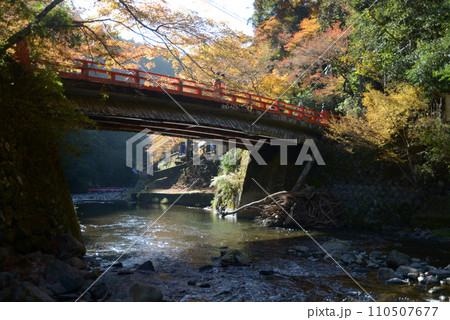 秋の高雄 高雄橋 京都市右京区 秋の高雄 高雄橋 京都市右京区 110507677