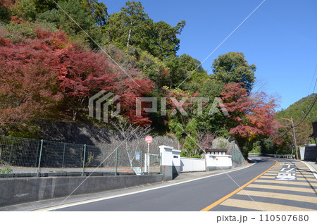 秋の高雄 周山街道 京都市右京区 秋の高雄 周山街道 京都市右京区 110507680