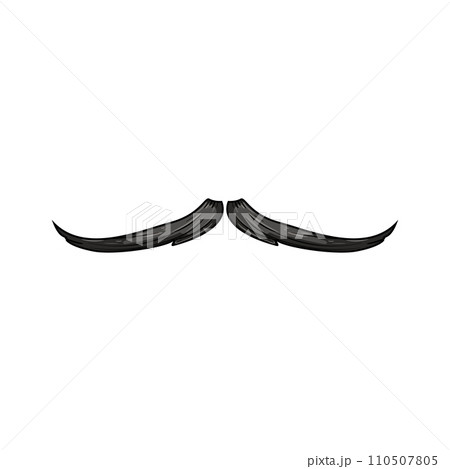 moustache moustaches cartoon vector illustration 110507805