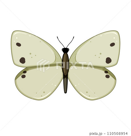 insect butterfly cartoon vector illustration 110508954