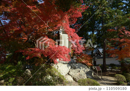 秋の南禅寺　今尾景年画龍碑　京都市左京区 110509180