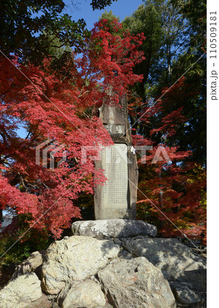 秋の南禅寺　今尾景年画龍碑　京都市左京区 110509181