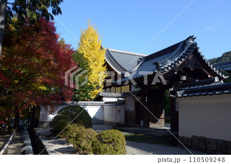 秋の南禅寺 南禅僧堂 京都市左京区 秋の南禅寺 南禅僧堂 京都市左京区 110509248