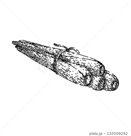 lemon lemongrass sketch hand drawn vector lemon lemongrass sketch hand drawn vector 110509292