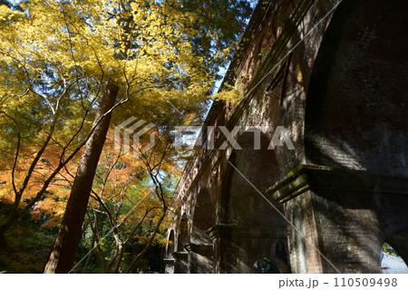 秋の南禅寺水路閣 京都市左京区 秋の南禅寺水路閣 京都市左京区 110509498