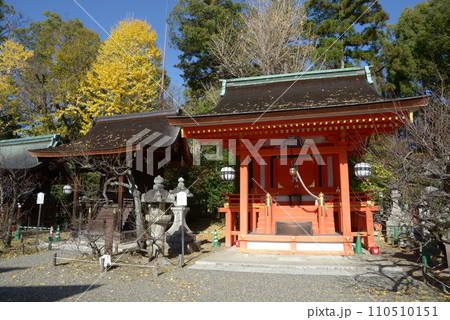 秋の北野天満宮 地主神社 京都市上京区 秋の北野天満宮 地主神社 京都市上京区 110510151