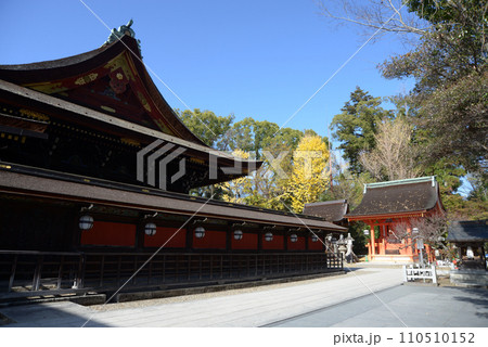 秋の北野天満宮　本殿と地主神社　京都市上京区 110510152