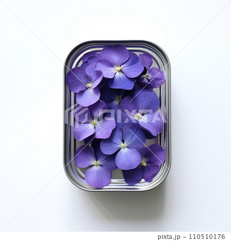 Blue hydrangea petals in a tin can on white background. Purple hydrangea petals in a metal box on white background. Can with blue violet on a white background, top view. Blue hydrangea petals in a tin can on white background. Purple hydrangea petals in a metal box on white background. Can with blue violet on a white background, top view. 110510176
