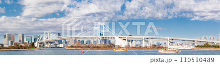 「東京都」お台場公園から見た東京湾とレインボーブリッジ 110510489