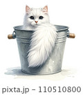 バケツに入った猫 110510800