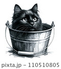 バケツに入った猫 110510805