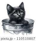 バケツに入った猫 110510807