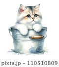 バケツに入った猫 110510809