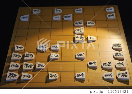 将棋（73期王将戦第1局投了棋譜）1 110512421