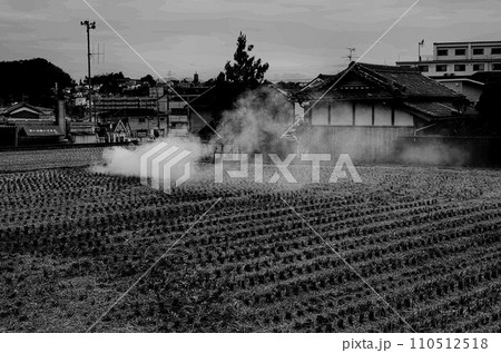 稲刈りが終わった田んぼ 稲刈りが終わった田んぼ 110512518