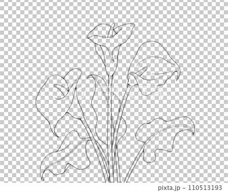 カラーと葉のシンプルな線画イラスト（線のみ） 110513193