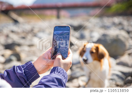 愛犬の写真を撮る飼い主の携帯電話 愛犬の写真を撮る飼い主の携帯電話 110513850