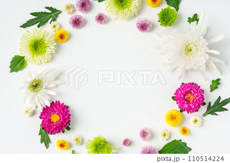 Small spring flowers arranged on white background 110514224