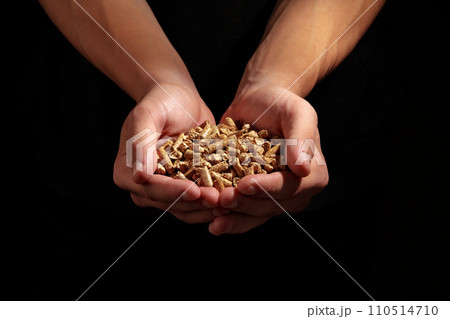 Human hands holding wooden pellets biofuel studio shot Human hands holding wooden pellets biofuel studio shot 110514710