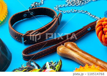 Treats and toys for dogs on blue background close up 110514768