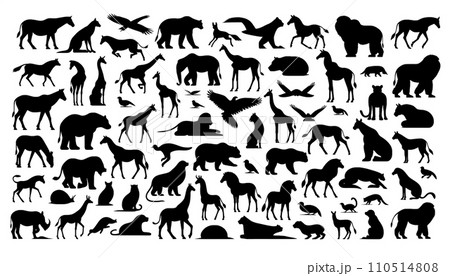 動物のシルエット 110514808