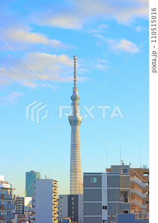 東京都墨田区、東京スカイツリーと町並みの風景 東京都墨田区、東京スカイツリーと町並みの風景 110515016
