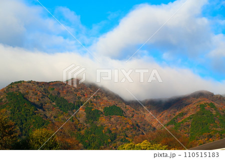岐阜県養老公園の紅葉 110515183