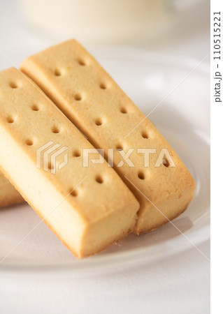 バランス栄養食 110515221