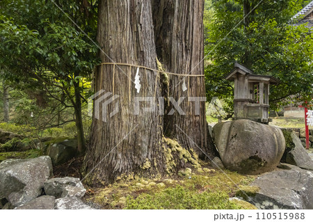 湯村温泉 八幡神社 110515988